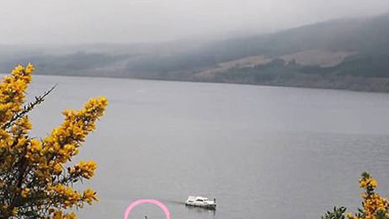 ഭീമാകാരനായ ജലജന്തു വീണ്ടും എത്തിയോ? ഭീമാകാരനായ ജലജന്തു വീണ്ടും എത്തിയോ?