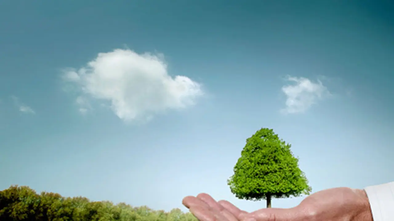 Going green! Kerala plans E rickshaws to check pollution