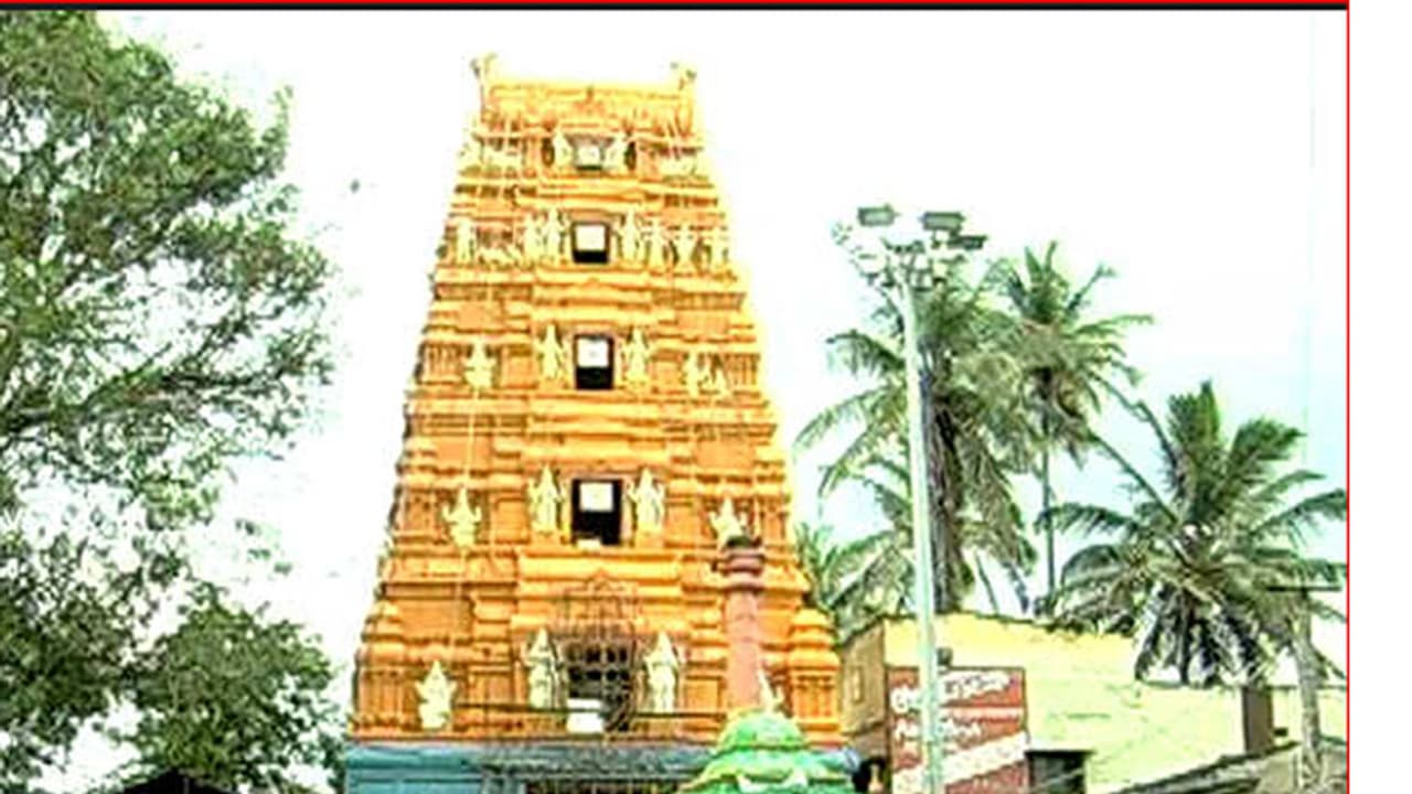 ನಾಳೆಯಿಂದ ಹಾಸನಾಂಬೆಯ ದರ್ಶನ ನಾಳೆಯಿಂದ ಹಾಸನಾಂಬೆಯ ದರ್ಶನ