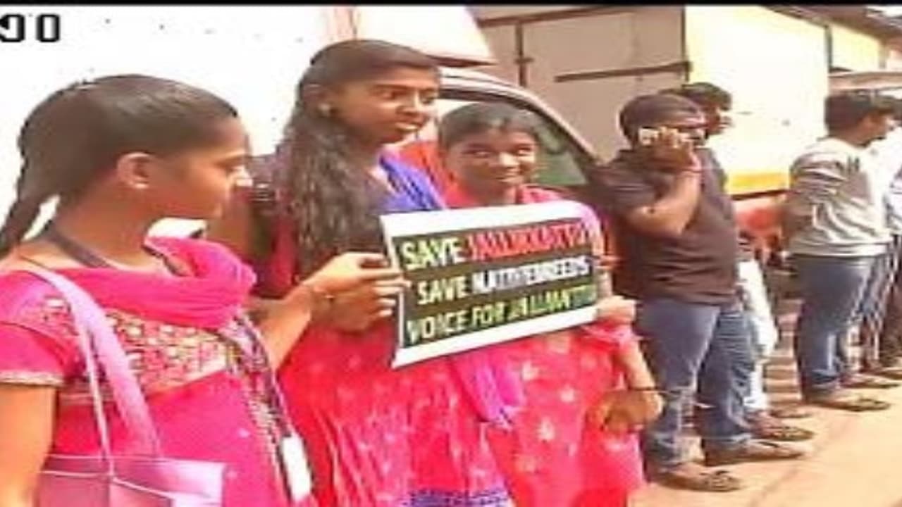 மோடியின் சொந்த மாநிலம் குஜராத்திலும் களைகட்டியது போராட்டம்.. ஜல்லிக்கட்டுக்கு ஆதரவு தெரிவித்து மும்பையில் ஊர்வலம்… மோடியின் சொந்த மாநிலம் குஜராத்திலும் களைகட்டியது போராட்டம்.. ஜல்லிக்கட்டுக்கு ஆதரவு தெரிவித்து மும்பையில் ஊர்வலம்…