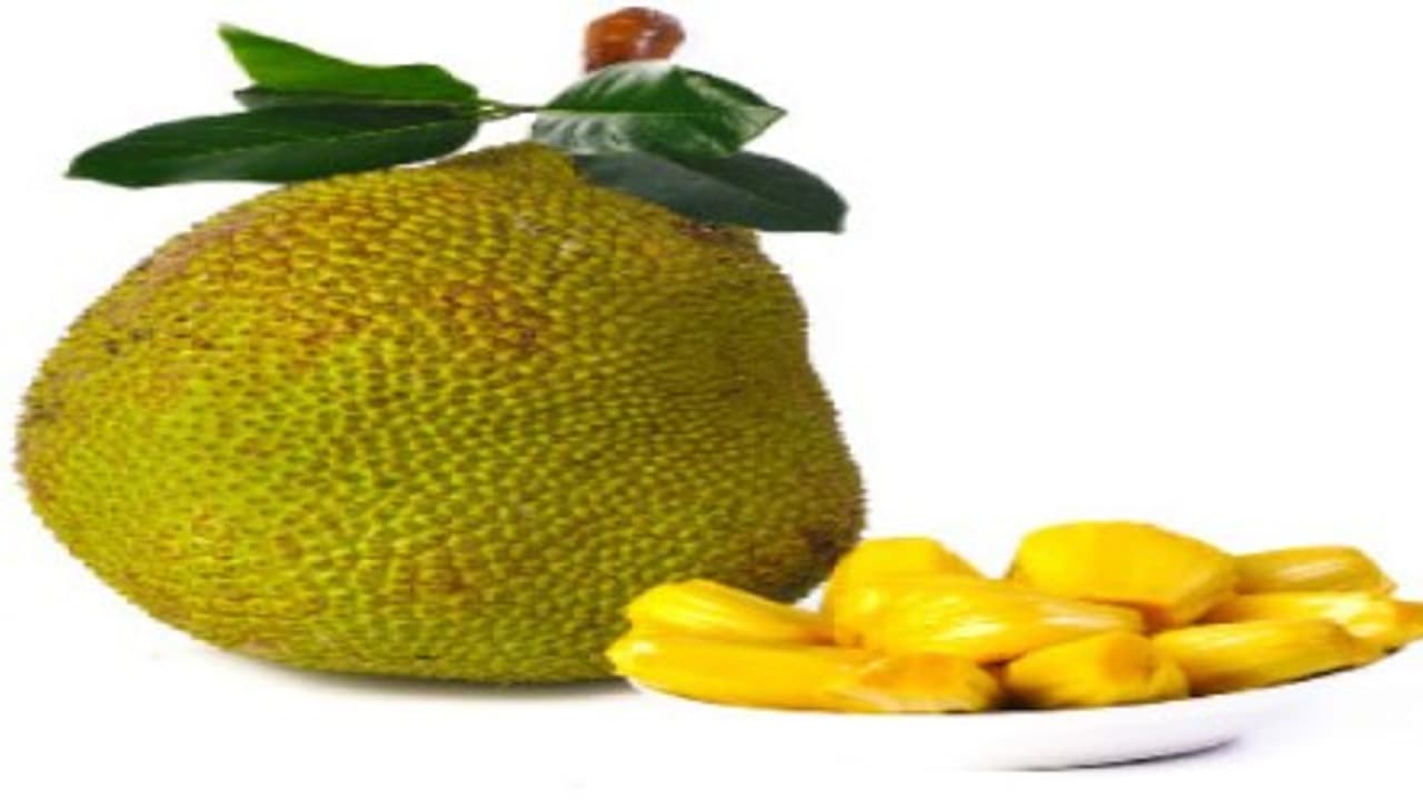 முக்கனிகளில் ஒன்றான பலாப்பழத்தை சாப்பிடுவதால் உங்களுக்கு கிடைக்கும் நன்மைகள்… முக்கனிகளில் ஒன்றான பலாப்பழத்தை சாப்பிடுவதால் உங்களுக்கு கிடைக்கும் நன்மைகள்…