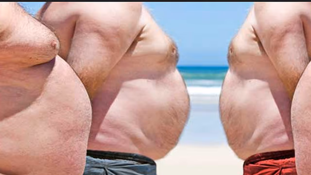 ದಪ್ಪಗಿರುವವರಿಗೆ ಸಮೀಕ್ಷೆ ನೀಡಿದ ಸಂತಸದ ಸುದ್ದಿ ದಪ್ಪಗಿರುವವರಿಗೆ ಸಮೀಕ್ಷೆ ನೀಡಿದ ಸಂತಸದ ಸುದ್ದಿ