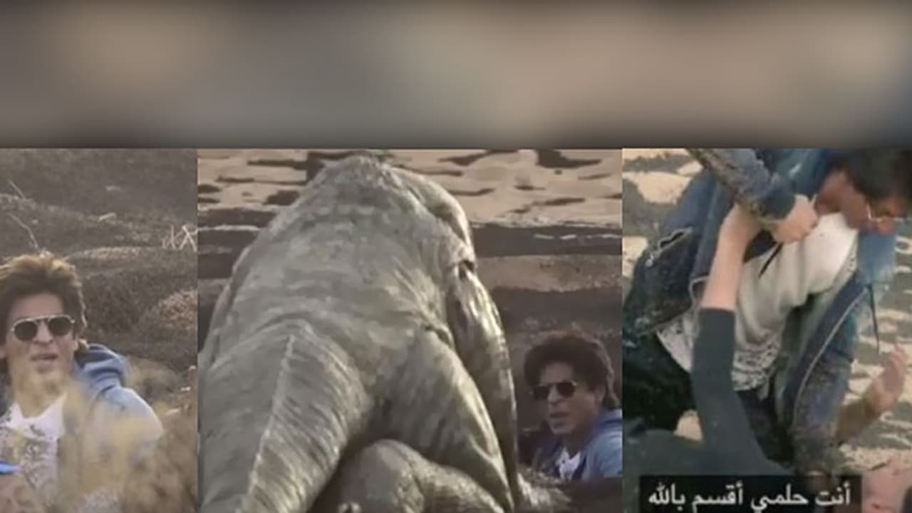 Watch: Here's why SRK almost punched a TV show host! Watch: Here's why SRK almost punched a TV show host!