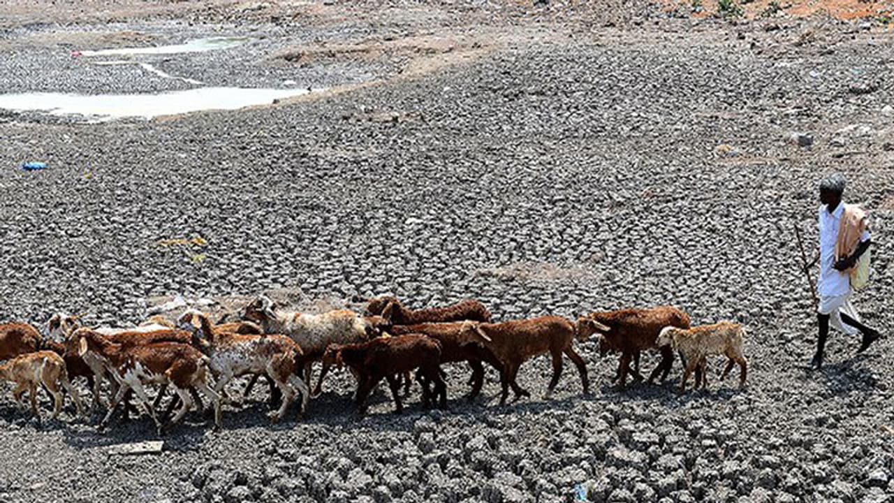 Sowing season takes hit as 126 taluks in State face severe drought