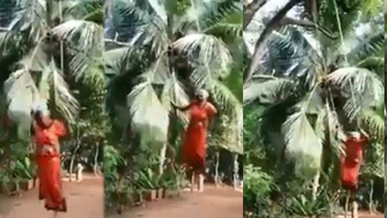 പ്രായമായാലെന്താ, അമ്മച്ചിയിപ്പോഴും കൊമ്പത്താ! വൈറലായി സേവാഗിന്റെ വീഡിയോ പ്രായമായാലെന്താ, അമ്മച്ചിയിപ്പോഴും കൊമ്പത്താ! വൈറലായി സേവാഗിന്റെ വീഡിയോ