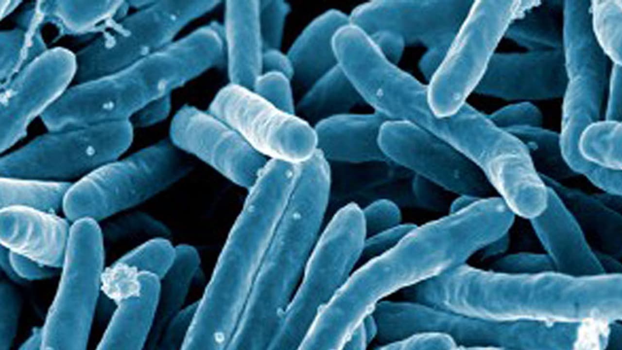 ಕೊರೋನಾ ಮಧ್ಯೆ ಮತ್ತೊಂದು ಅಪಾಯಕಾರಿ ರೋಗದ ಕಾಟ: ಆತಂಕದಲ್ಲಿ ಜನತೆ