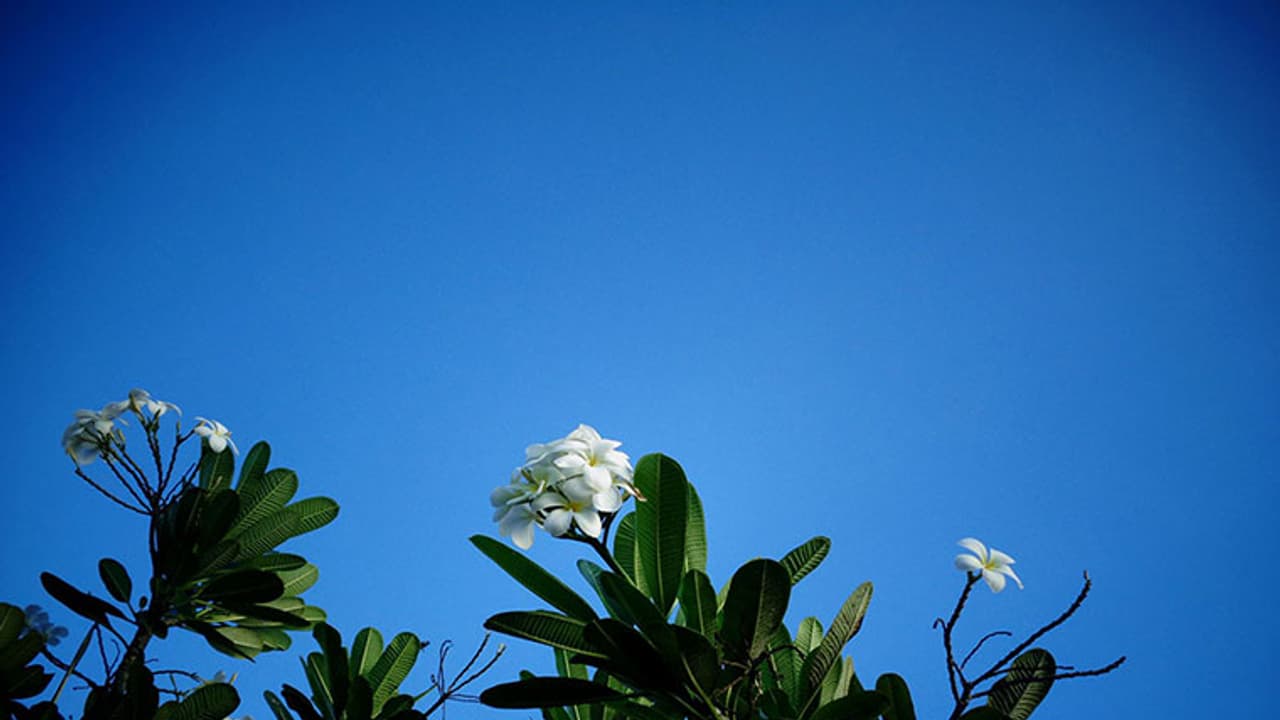 ആ പൂരമല്ല ഈ പൂരം; ഇത് വടക്കിന്‍റെ വസന്തോത്സവം!