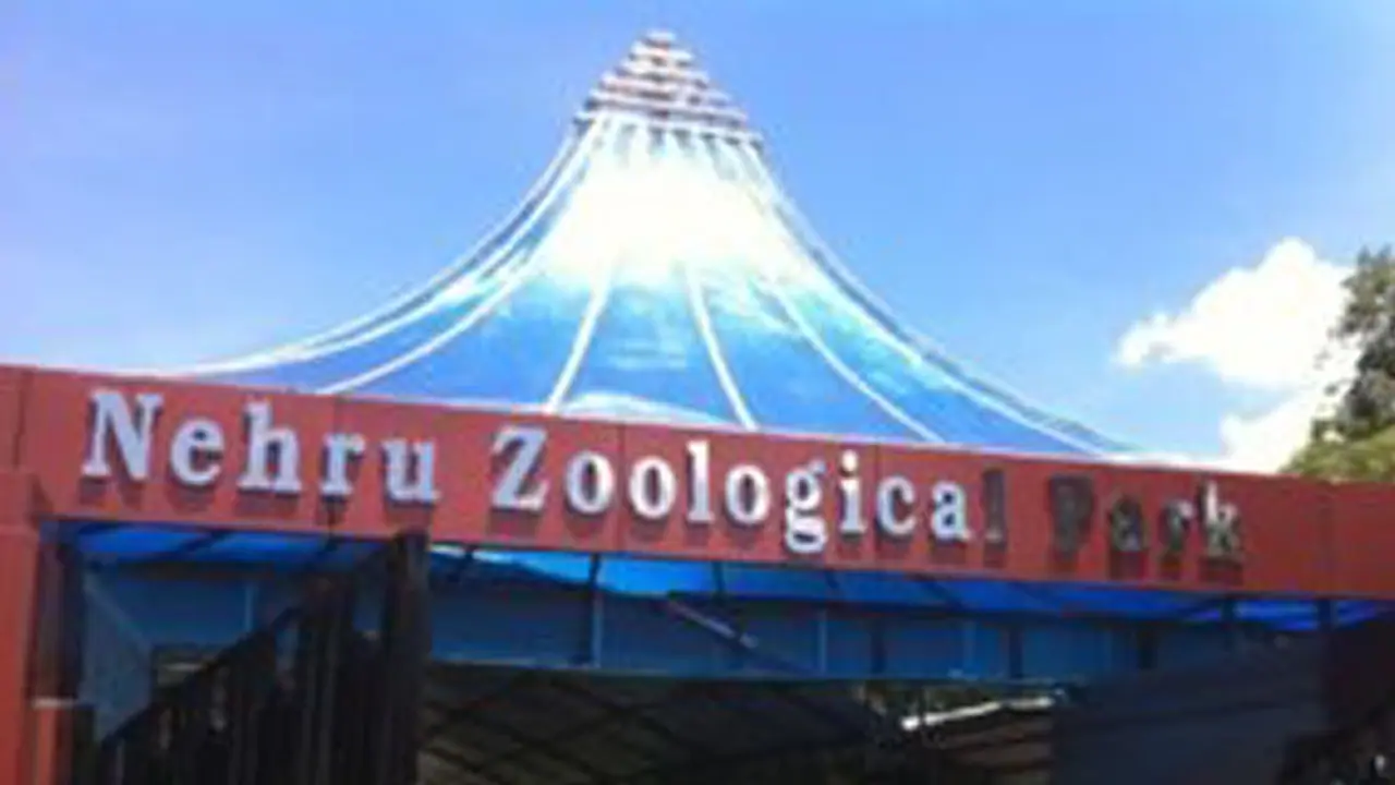 Nehru Zoo Park: జూ పార్క్‌లో ఏనుగు బీభత్సం విషాదం.. ఆహారం పెడుతుండగా మావటిపై.. 