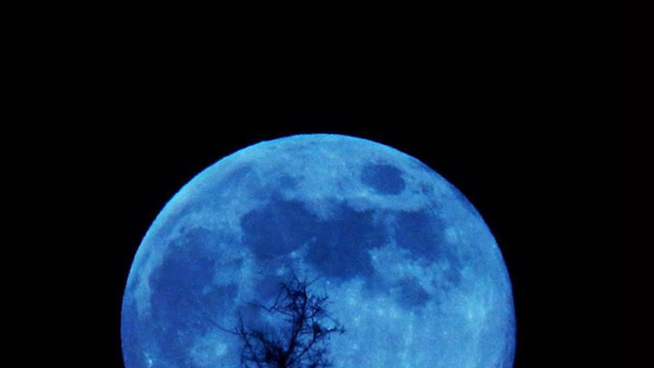 Blue Blood Moon