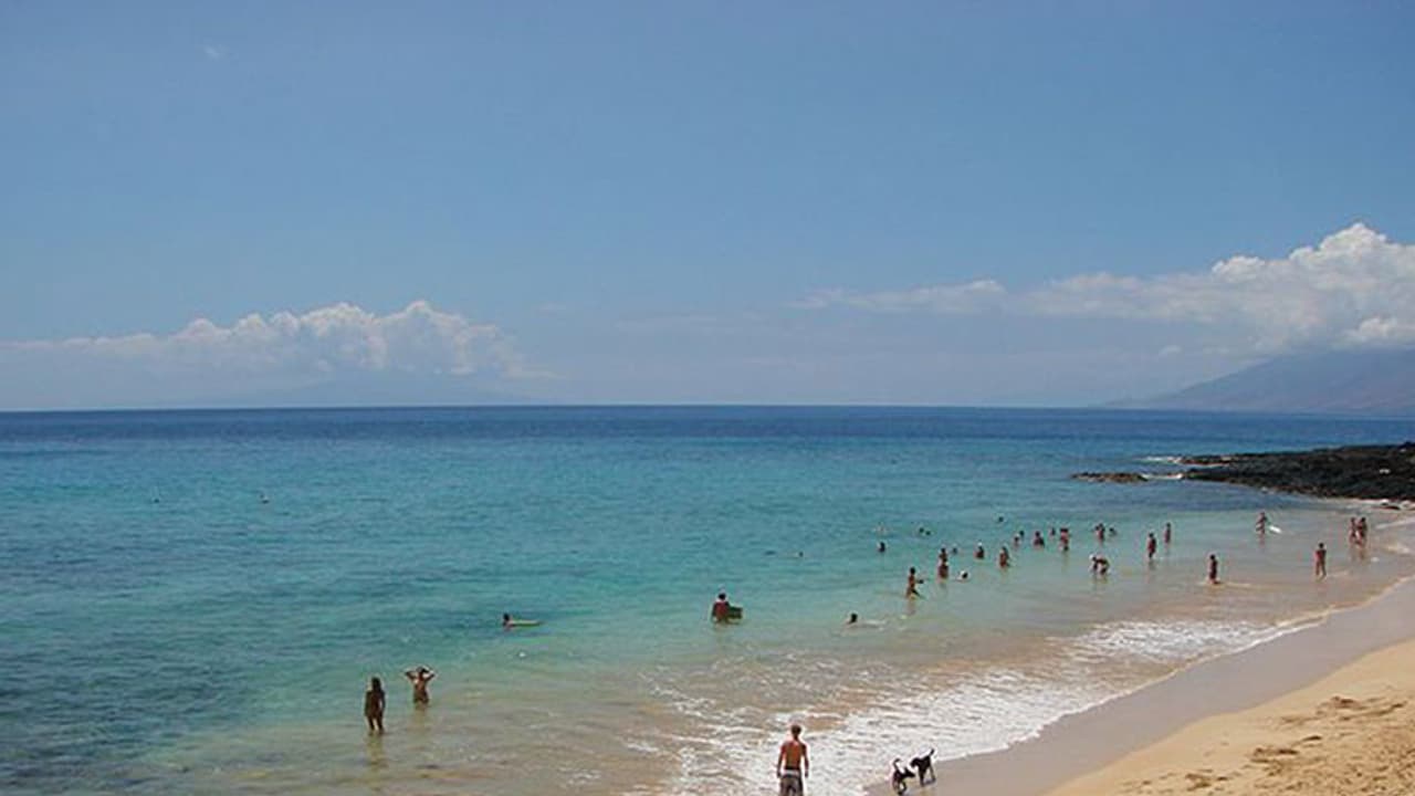 ಬೀಚಲ್ಲಿ ಸಿಕ್ತು 132 ವರ್ಷ ಹಳೆಯ ಬಾಟಲಿ ಸಂದೇಶ! ಬೀಚಲ್ಲಿ ಸಿಕ್ತು 132 ವರ್ಷ ಹಳೆಯ ಬಾಟಲಿ ಸಂದೇಶ!