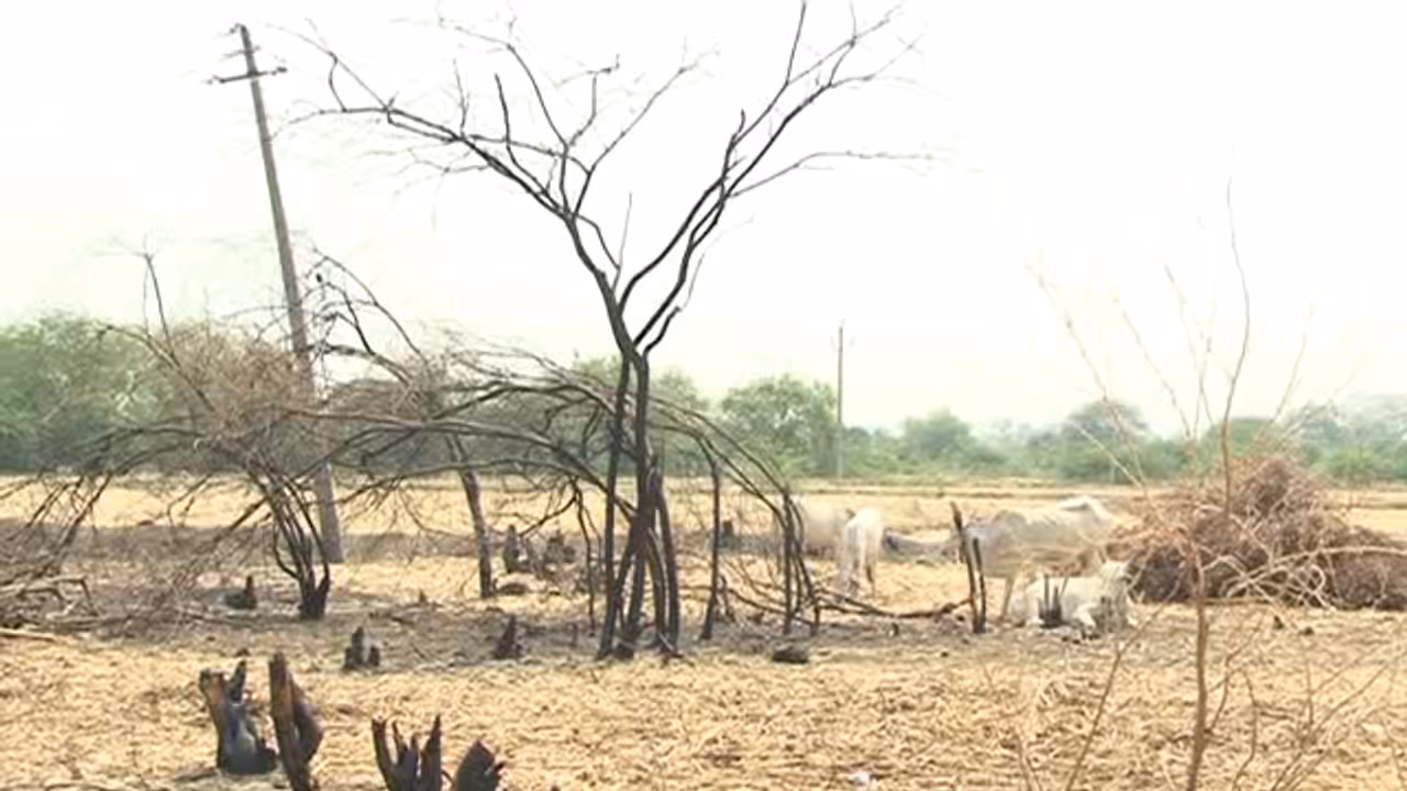 ರಾಜ್ಯದಲ್ಲಿ ಭೀಕರ ಬರಗಾಲ ಹನಿ ಹನಿ ನೀರಿಗೂ ಹಾಹಾಕಾರ!