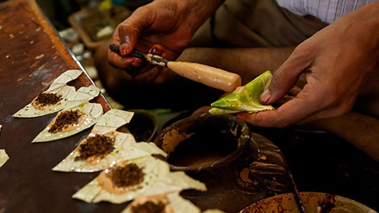 ఇంటర్నెట్ ని షేక్ చేస్తున్న మలై పాన్.. వీడియో..! ఇంటర్నెట్ ని షేక్ చేస్తున్న మలై పాన్.. వీడియో..!