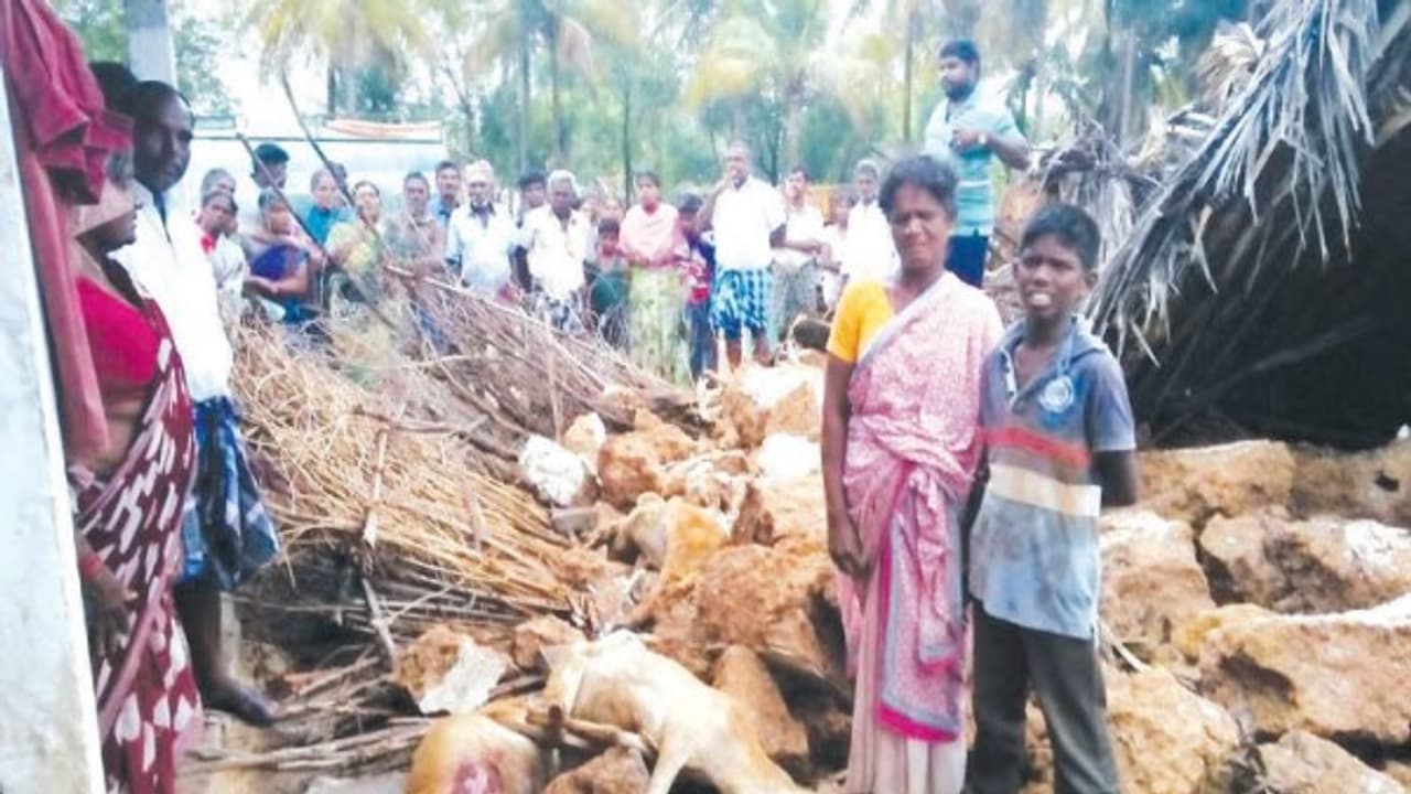 கிருஷ்ணகிரியில் சூறாவளி காற்றுடன் பலத்த மழை; சுவர் இடிந்து விழுந்து 7 ஆடுகள் இறந்த சோகம்...