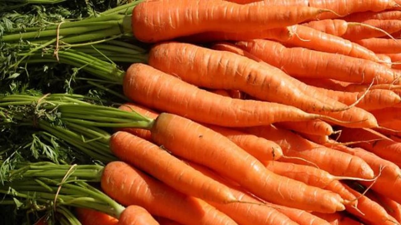 25 வயதிலேயே 55 போன்ற தோற்றமா? வருத்தம் வேண்டாம் இந்த ஜூஸை குடித்தாலே போதும்... 25 வயதிலேயே 55 போன்ற தோற்றமா? வருத்தம் வேண்டாம் இந்த ஜூஸை குடித்தாலே போதும்...