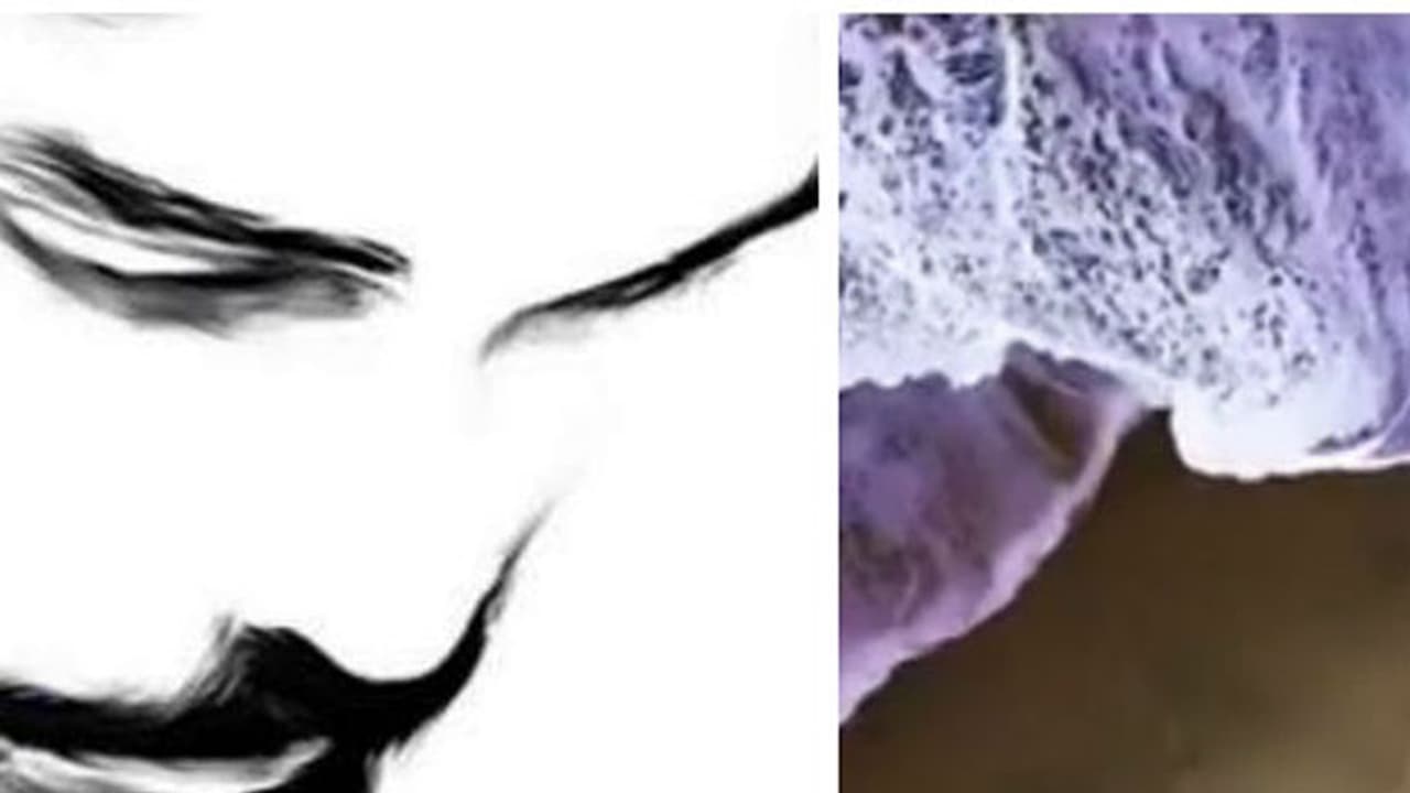 അവളെ കാണാനില്ല, മകന് നായികയെ തേടി വിക്രമിന്റെ കാസ്റ്റിംഗ് കോള് അവളെ കാണാനില്ല, മകന് നായികയെ തേടി വിക്രമിന്റെ കാസ്റ്റിംഗ് കോള്