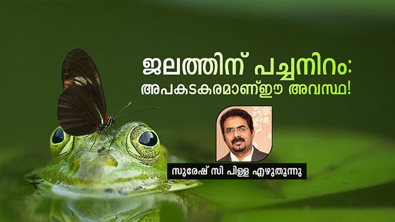 ജലത്തിന് പച്ചനിറം: അപകടകരമാണ് ഈ അവസ്ഥ! ജലത്തിന് പച്ചനിറം: അപകടകരമാണ് ഈ അവസ്ഥ!