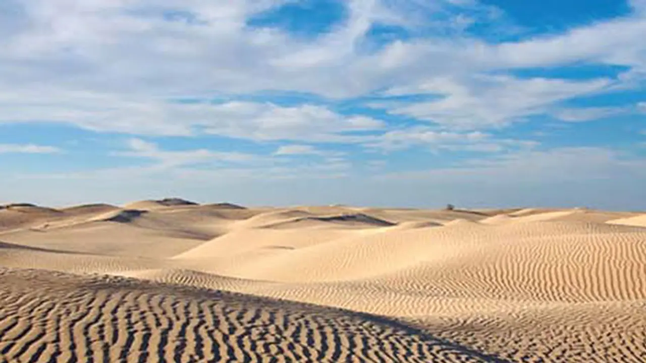 ಹುಲ್ಲುಗಾವಲಾಗಿದ್ದ ಸಹರಾ ಮರುಭೂಮಿ ಹುಲ್ಲುಗಾವಲಾಗಿದ್ದ ಸಹರಾ ಮರುಭೂಮಿ