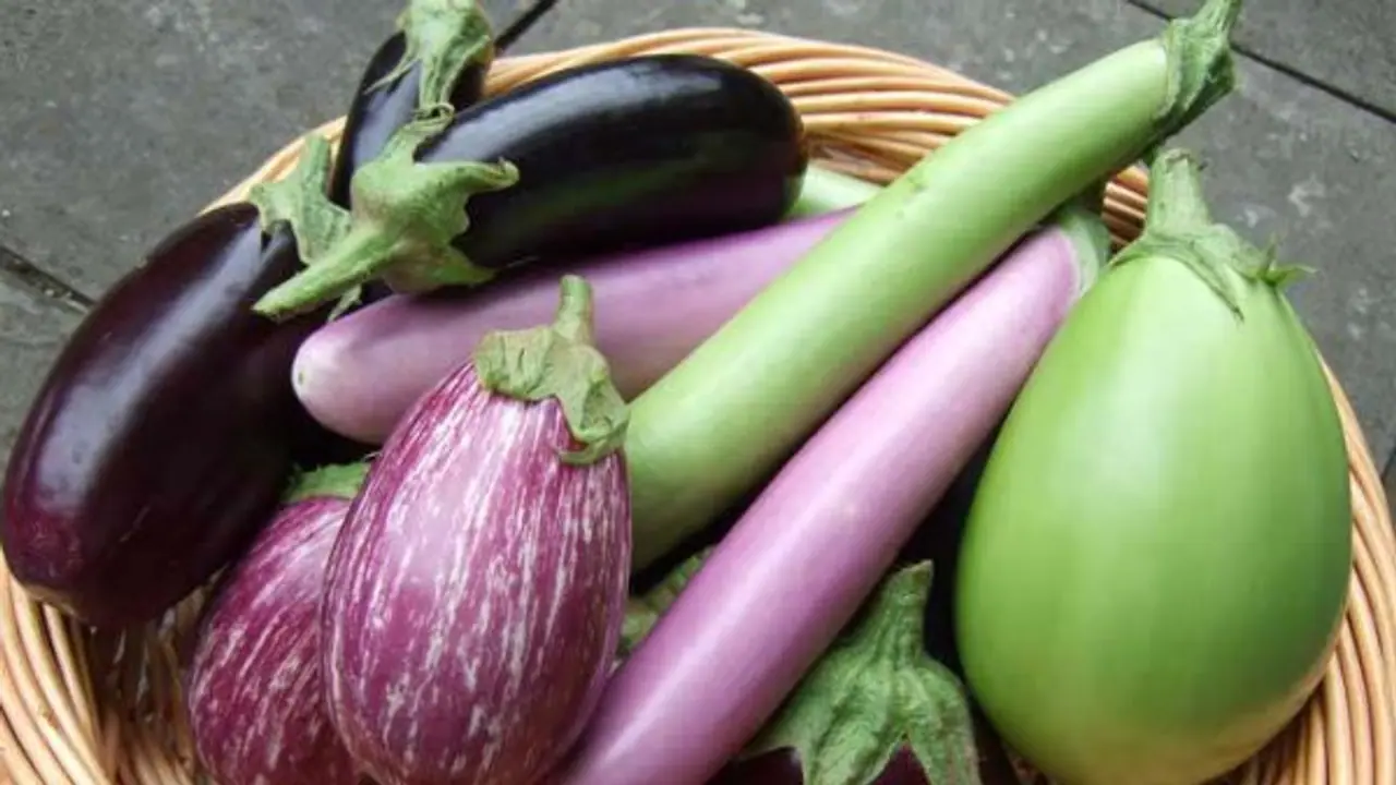 உடலில் உள்ள கொழுப்புகளை கரைக்கும் கத்தரிக்காய் வேற என்னவெல்லாம் செய்யும்… உடலில் உள்ள கொழுப்புகளை கரைக்கும் கத்தரிக்காய் வேற என்னவெல்லாம் செய்யும்…