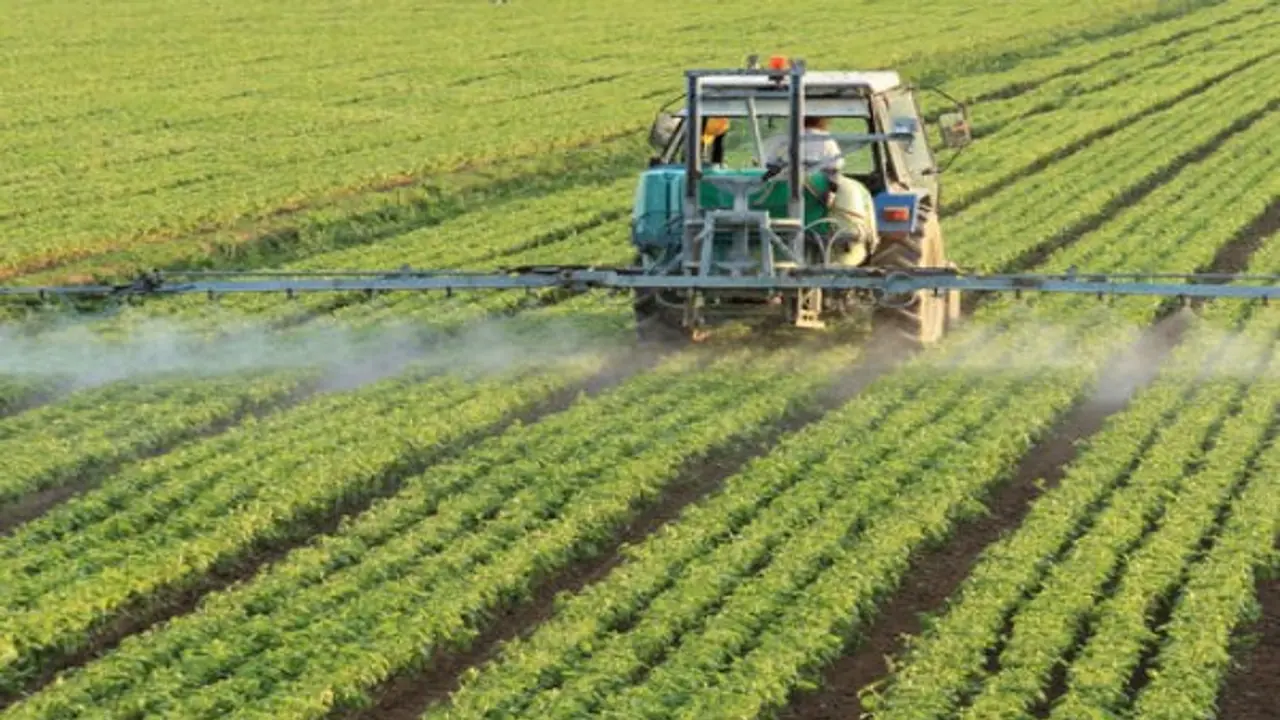 களைகளை அழிக்கும் இயற்கை களைக் கொல்லியை தயாரிப்பது எப்படி? களைகளை அழிக்கும் இயற்கை களைக் கொல்லியை தயாரிப்பது எப்படி?