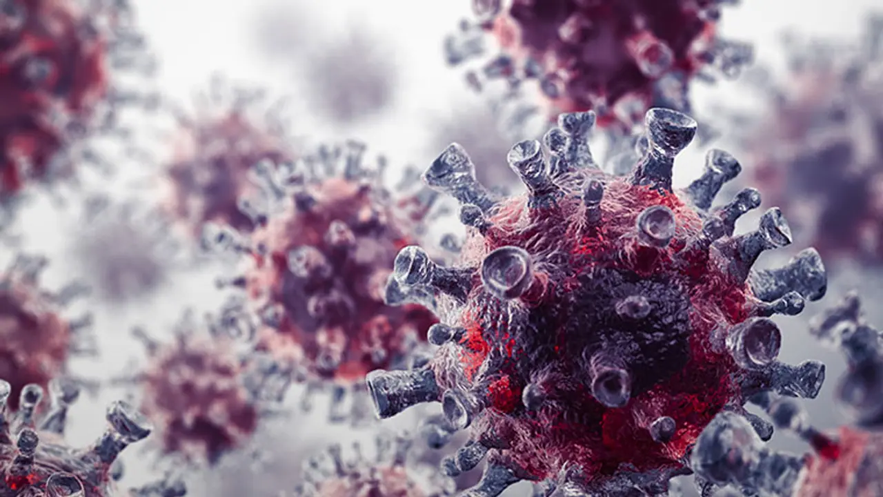 Cancer cells1 Cancer cells1