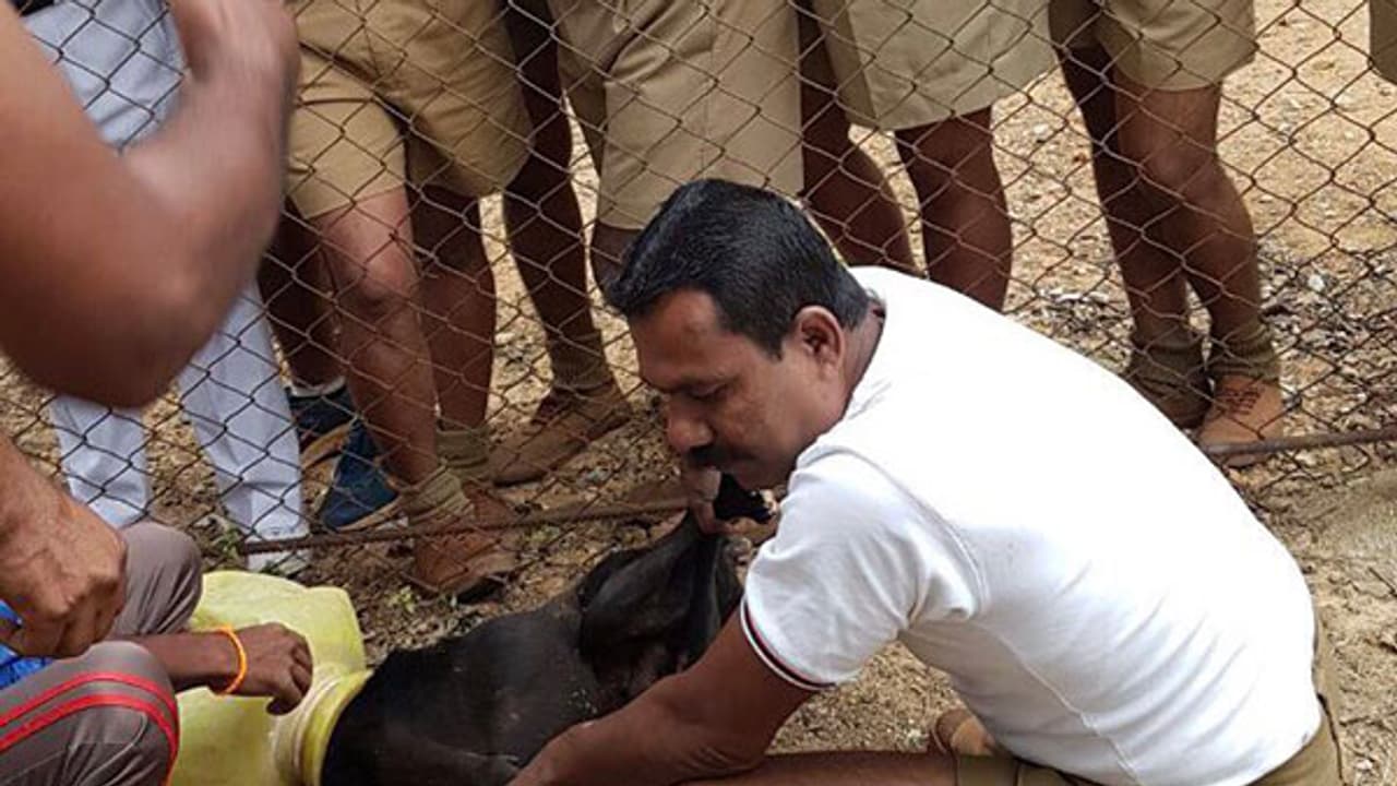 കുടത്തില് കുടുങ്ങിയ നായയ്ക്ക് രക്ഷകരായി പോലീസുകാര് കുടത്തില് കുടുങ്ങിയ നായയ്ക്ക് രക്ഷകരായി പോലീസുകാര്