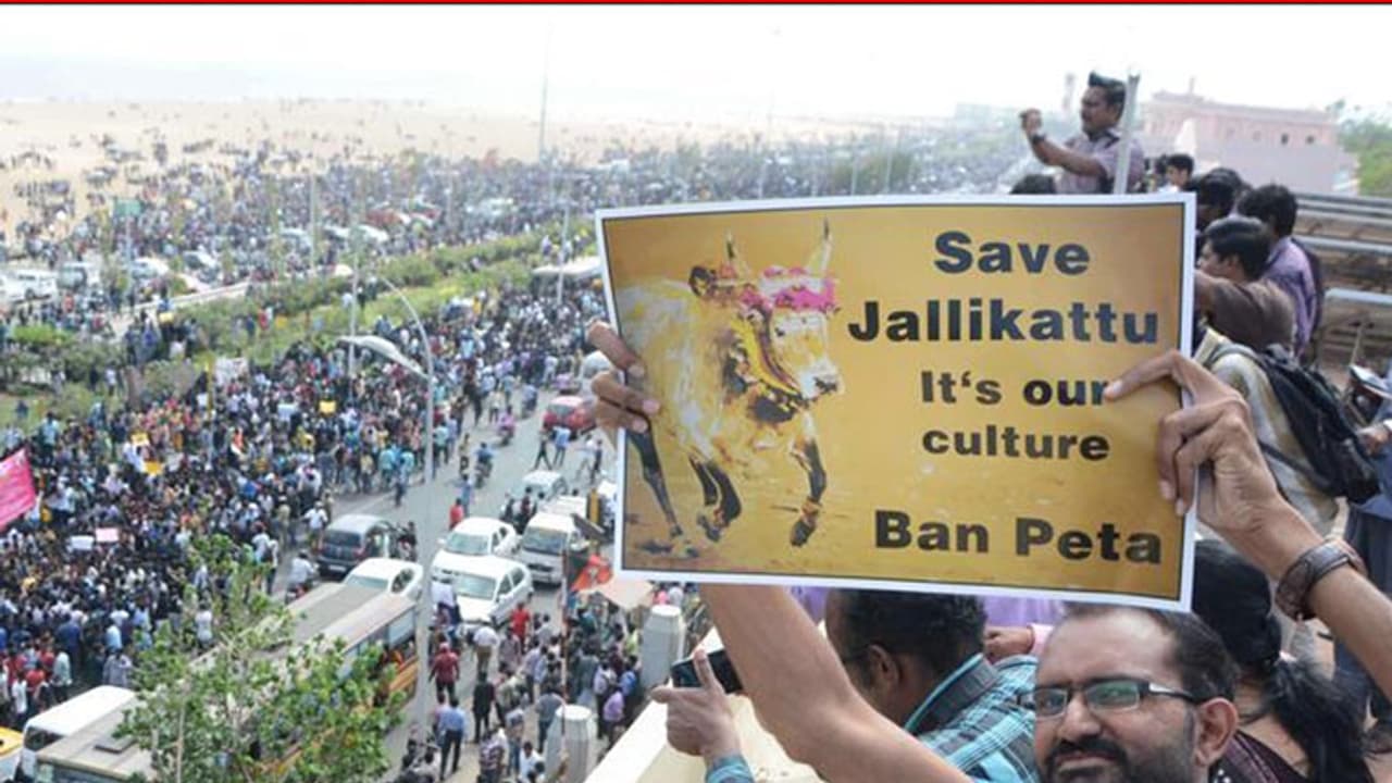 ಜಲ್ಲಿಕಟ್ಟು ಪ್ರತಿಭಟನೆ: ರಜನೀಕಾಂತ್ ಎಂಟ್ರಿ; ಜನರ ಪರ ಒಂದಾಯ್ತು ಇಡೀ ತಮಿಳುನಾಡು ಚಿತ್ರರಂಗ ಜಲ್ಲಿಕಟ್ಟು ಪ್ರತಿಭಟನೆ: ರಜನೀಕಾಂತ್ ಎಂಟ್ರಿ; ಜನರ ಪರ ಒಂದಾಯ್ತು ಇಡೀ ತಮಿಳುನಾಡು ಚಿತ್ರರಂಗ