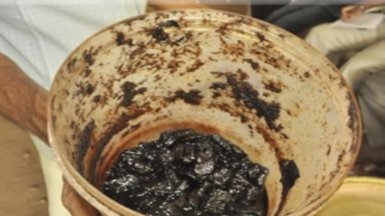 மீன் அமிலம் தயாரிப்பது எப்படி? அதனால் என்ன பயன்? மீன் அமிலம் தயாரிப்பது எப்படி? அதனால் என்ன பயன்?