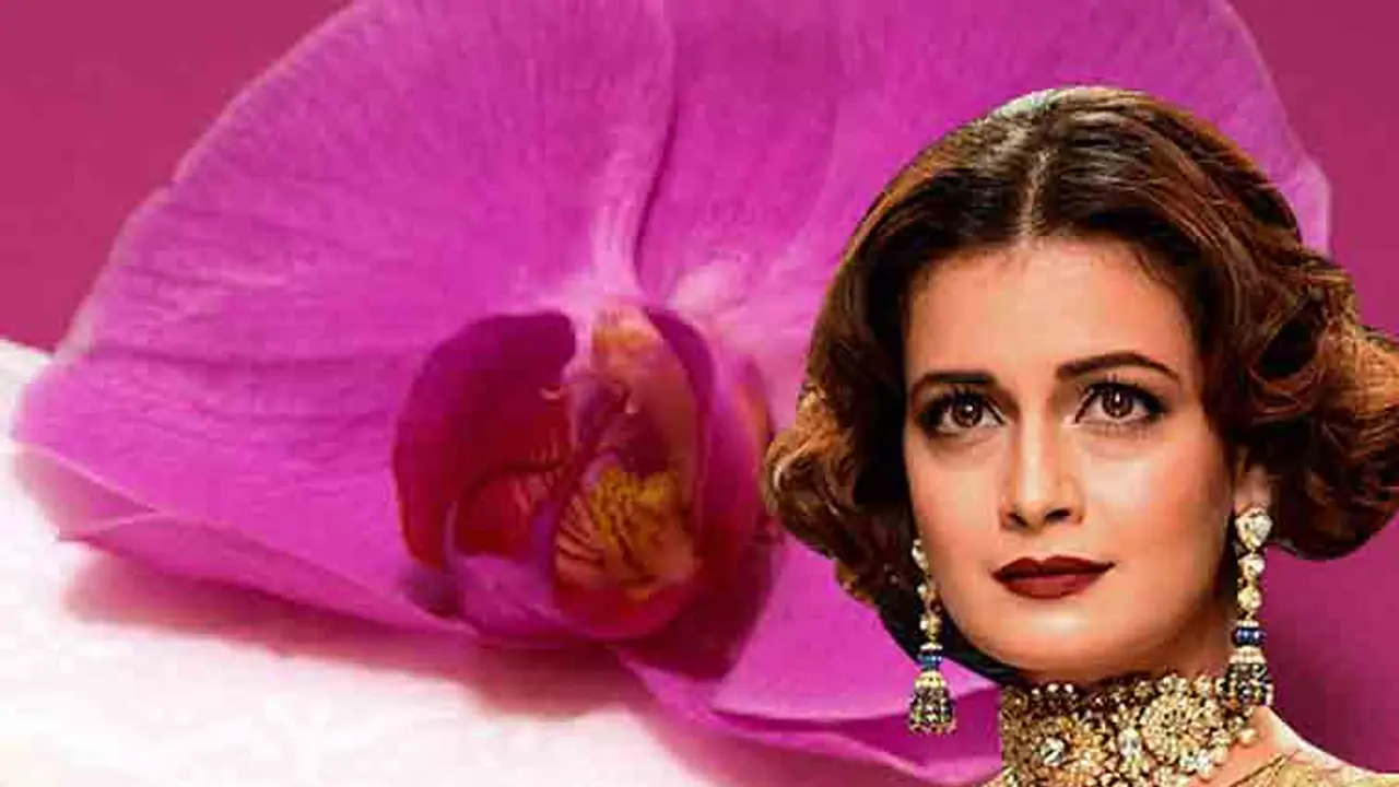 স্কুল থেকেই শুরু হয় স্বজন পোষণ, নেপোটিজন নিয়ে এবার মুখ খুললেন দিয়া স্কুল থেকেই শুরু হয় স্বজন পোষণ, নেপোটিজন নিয়ে এবার মুখ খুললেন দিয়া