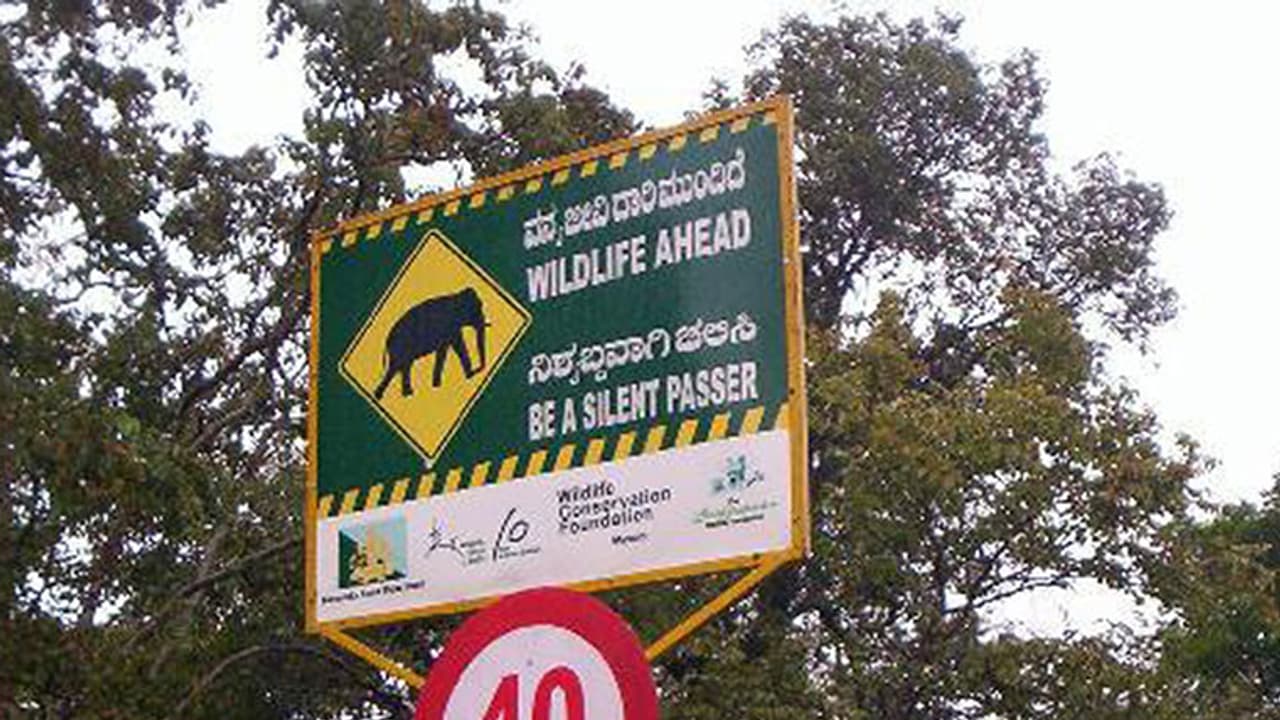 New Year 2022 : ಬಂಡೀಪುರದಲ್ಲಿ ಹೊಸ ವರ್ಷಾಚರಣೆ ನಿಷೇಧ New Year 2022 : ಬಂಡೀಪುರದಲ್ಲಿ ಹೊಸ ವರ್ಷಾಚರಣೆ ನಿಷೇಧ