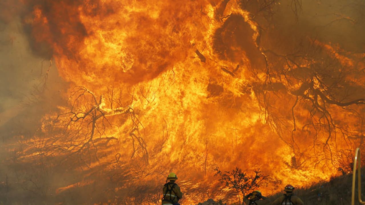 അമേരിക്കയില് വന് തീപിടുത്തം; നൂറുകണക്കിന് വീടുകള് അഗ്നിക്കിരയായി അമേരിക്കയില് വന് തീപിടുത്തം; നൂറുകണക്കിന് വീടുകള് അഗ്നിക്കിരയായി