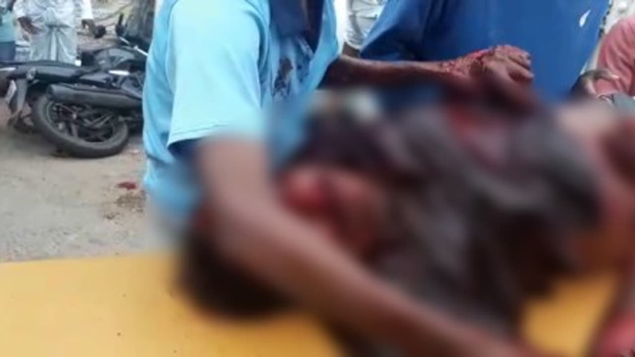 பட்டப்பகலில் வழக்கறிஞருக்கு அரிவாள் வெட்டு... சென்னை ஐ.ஜி. அலுவலகம் அருகே பரபரப்பு... பட்டப்பகலில் வழக்கறிஞருக்கு அரிவாள் வெட்டு... சென்னை ஐ.ஜி. அலுவலகம் அருகே பரபரப்பு...