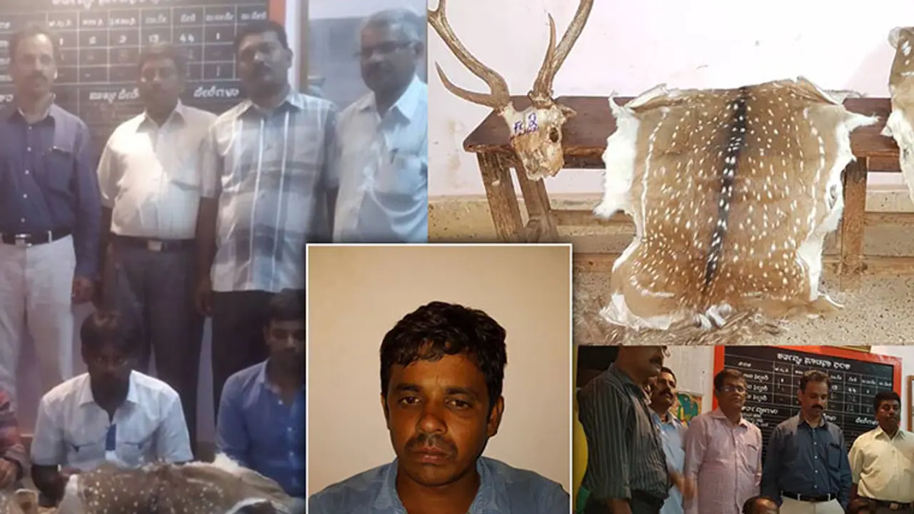 Shocking: AP official caught red handed trading deerskins
