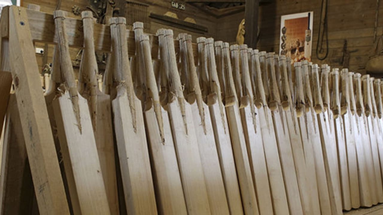 Will bamboo bats be used in cricket? Here's what MCC has to say Will bamboo bats be used in cricket? Here's what MCC has to say