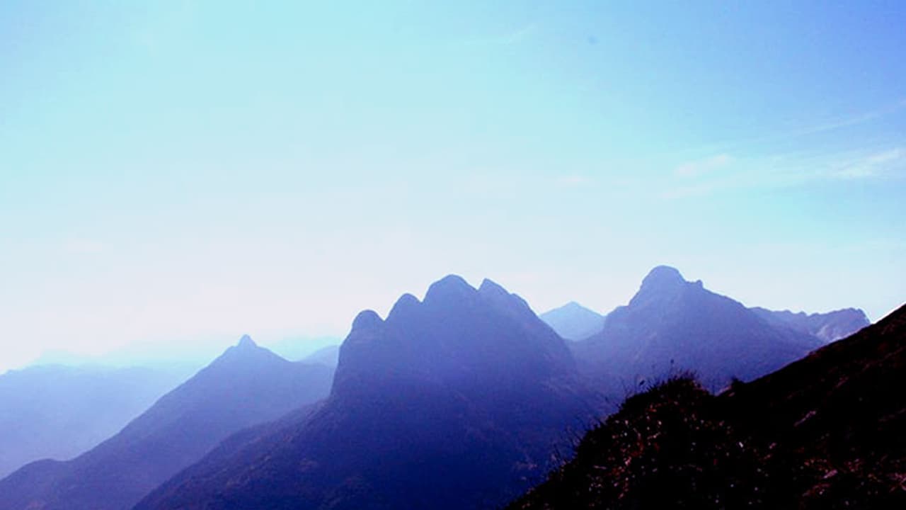 അഗസ്ത്യാർകൂടയാത്രയ്ക്ക് ഇന്ന് തുടക്കമാകും അഗസ്ത്യാർകൂടയാത്രയ്ക്ക് ഇന്ന് തുടക്കമാകും