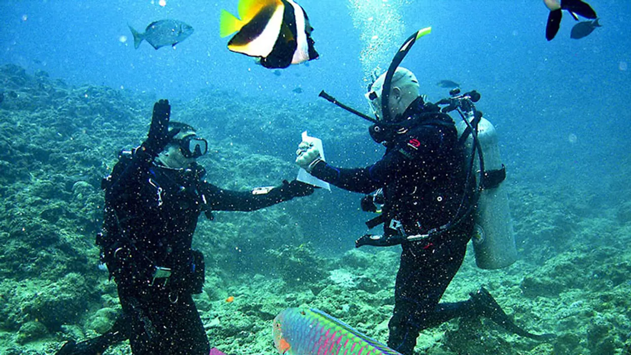 Nods awaited for yoga tours, scuba diving services: Goa Min Nods awaited for yoga tours, scuba diving services: Goa Min