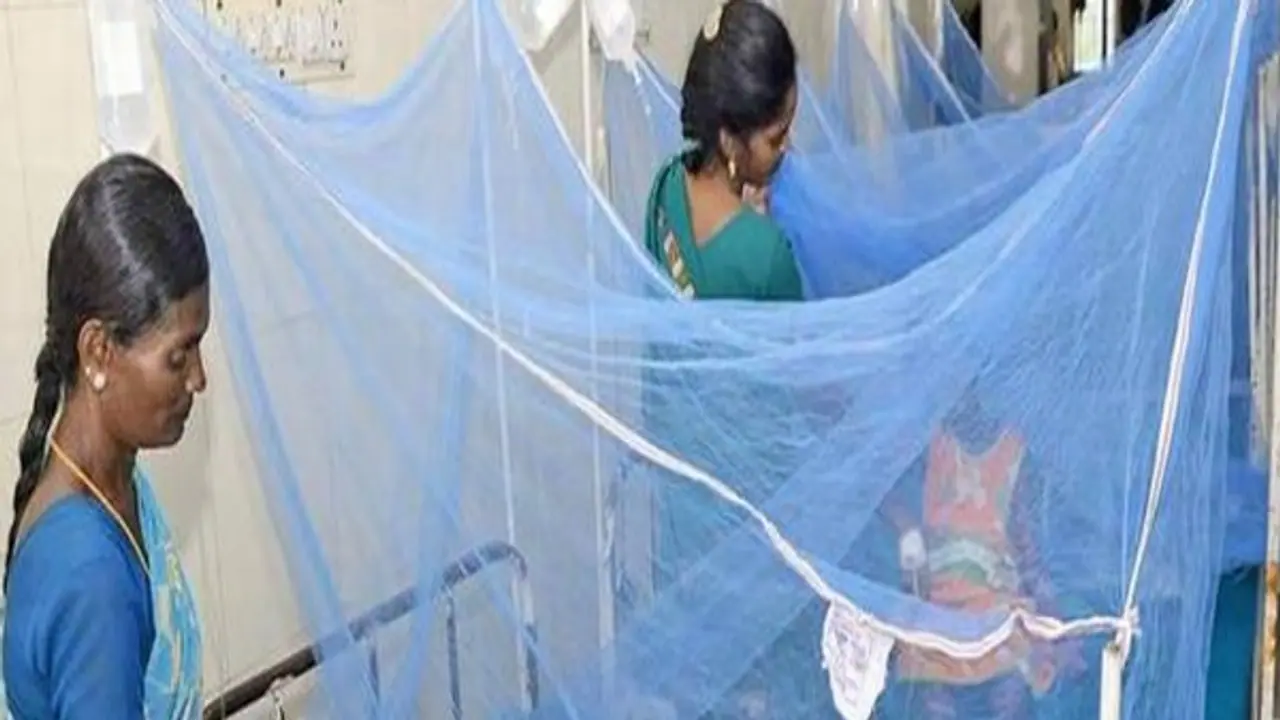 ದಾವಣಗೆರೆ: ಡೆಂಘೀ ವಿರೋಧಿ ಮಾಸಾಚರಣೆ, ಸೊಳ್ಳೆ ಪರದೆ ವಿತರಣೆ ದಾವಣಗೆರೆ: ಡೆಂಘೀ ವಿರೋಧಿ ಮಾಸಾಚರಣೆ, ಸೊಳ್ಳೆ ಪರದೆ ವಿತರಣೆ