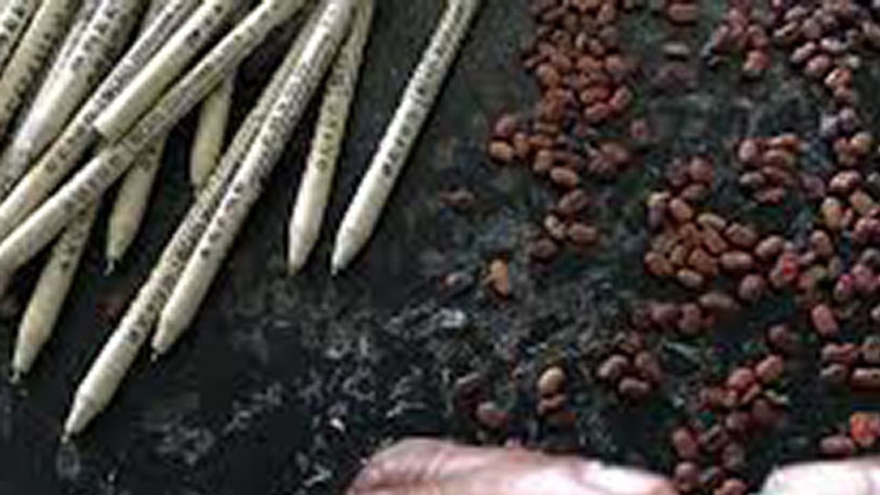 പ്രകൃതി സൗഹൃദത്തിന് വിത്ത് പേനയുമായി ബിഎഡ് വിദ്യാര്ഥികള് പ്രകൃതി സൗഹൃദത്തിന് വിത്ത് പേനയുമായി ബിഎഡ് വിദ്യാര്ഥികള്