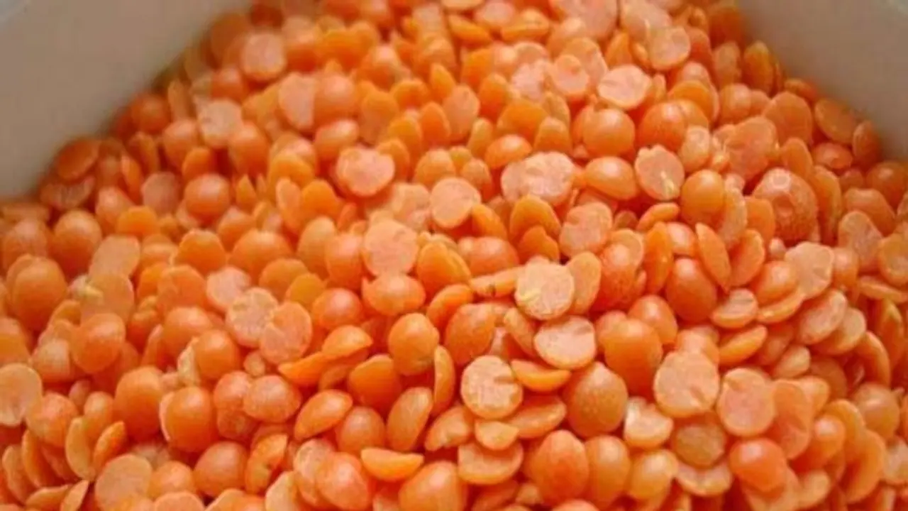 masoor dal 42273.jpg masoor dal 42273.jpg