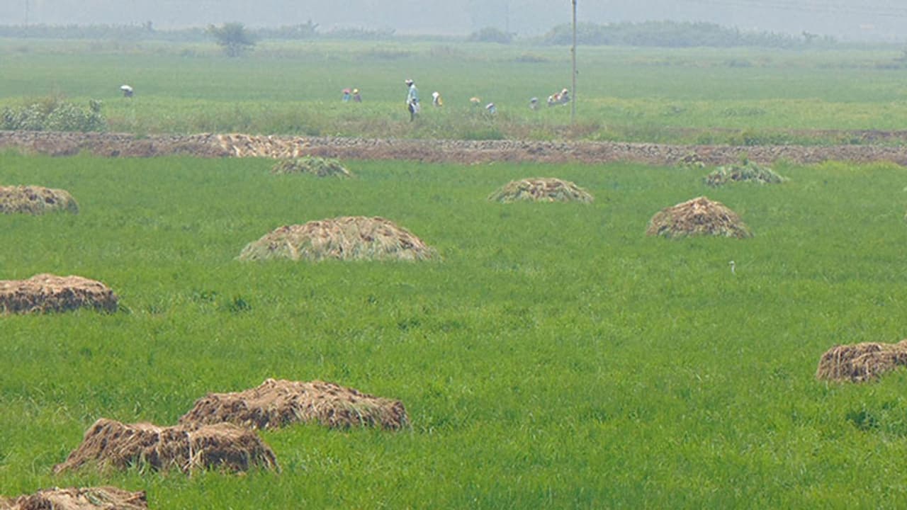 കോട്ടയത്ത് ബക്കറ്റിലാക്കിയ നിലയില്‍ മനുഷ്യ ശരീര ഭാഗങ്ങള്‍; രണ്ടു പേര്‍ അറസ്റ്റില്‍