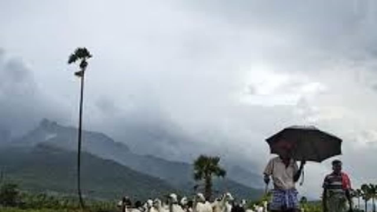 சென்னை உட்பட தமிழகத்தின் பல மாவட்டங்களில் வெளுத்து வாங்கும் மழை…விவசாயிகள், பொது மக்கள் உற்சாகம்…. சென்னை உட்பட தமிழகத்தின் பல மாவட்டங்களில் வெளுத்து வாங்கும் மழை…விவசாயிகள், பொது மக்கள் உற்சாகம்….