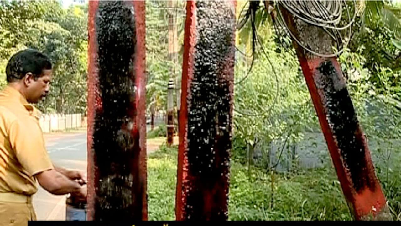 ആക്രമണസാധ്യത തടയാന് കരി ഓയിലും ബ്രഷുമായി പൊലീസ് ആക്രമണസാധ്യത തടയാന് കരി ഓയിലും ബ്രഷുമായി പൊലീസ്