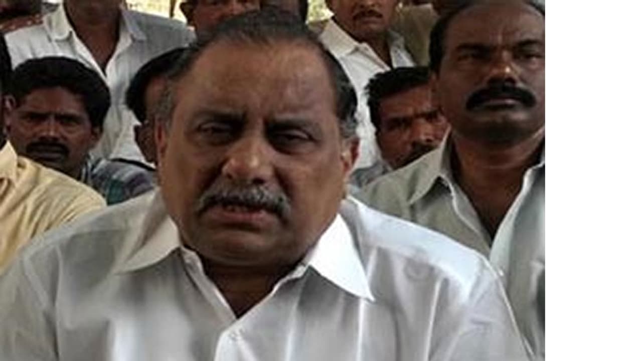 కాపుల చేవుల్లో క్యాబేజీ కాపుల చేవుల్లో క్యాబేజీ