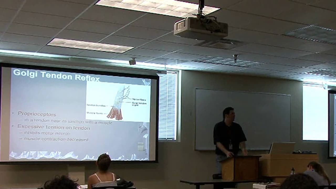 Karnataka PU Department wants to take city's smart colleges to the dark ages Karnataka PU Department wants to take city's smart colleges to the dark ages