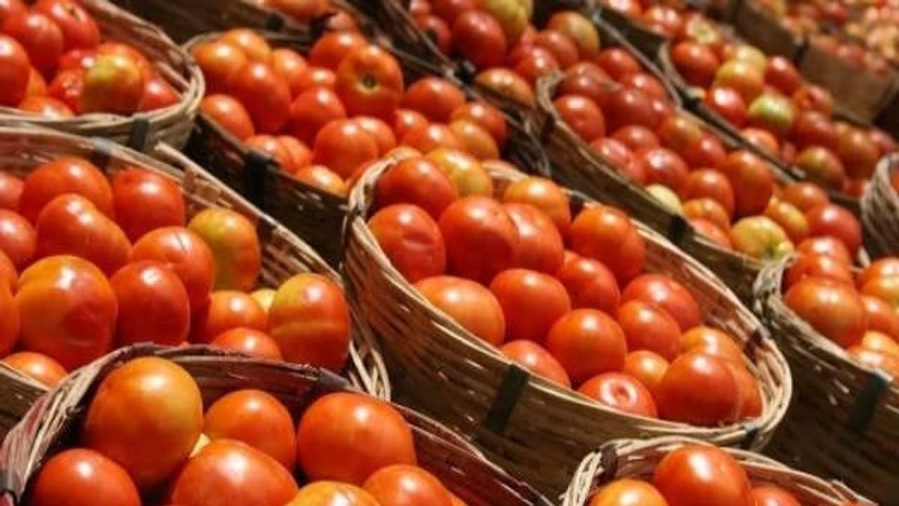 உங்களுக்குத் தெரியுமா? தினமும் ஒரு தக்காளி சாப்பிட்டால் உடல் எடை குறையும்...