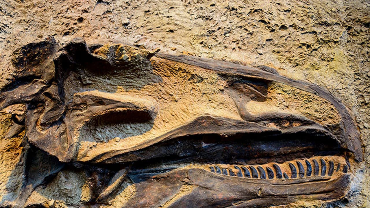 5 unusual museums to visit in India