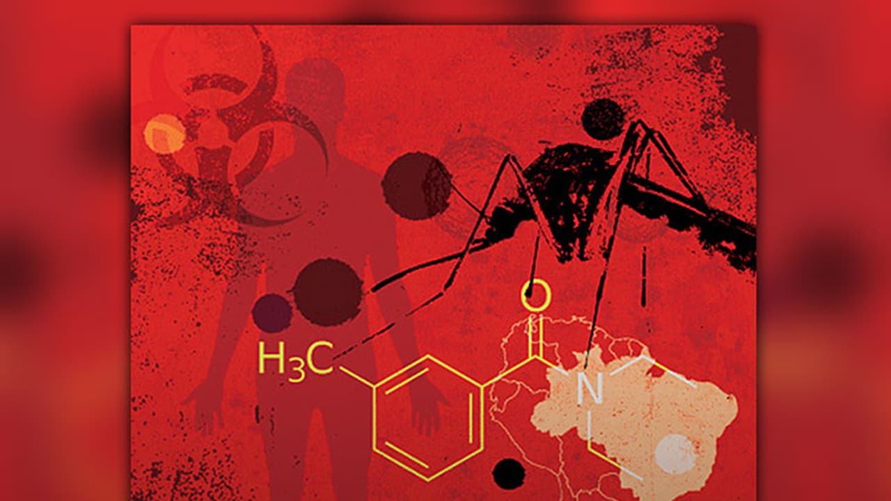 സിക്കയിൽ കേരളത്തിന് താത്കാലിക ആശ്വാസം: സമ്പർക്ക പട്ടികയിലുണ്ടായിരുന്ന 17 സാംപിളുകൾ നെഗറ്റീവായി സിക്കയിൽ കേരളത്തിന് താത്കാലിക ആശ്വാസം: സമ്പർക്ക പട്ടികയിലുണ്ടായിരുന്ന 17 സാംപിളുകൾ നെഗറ്റീവായി