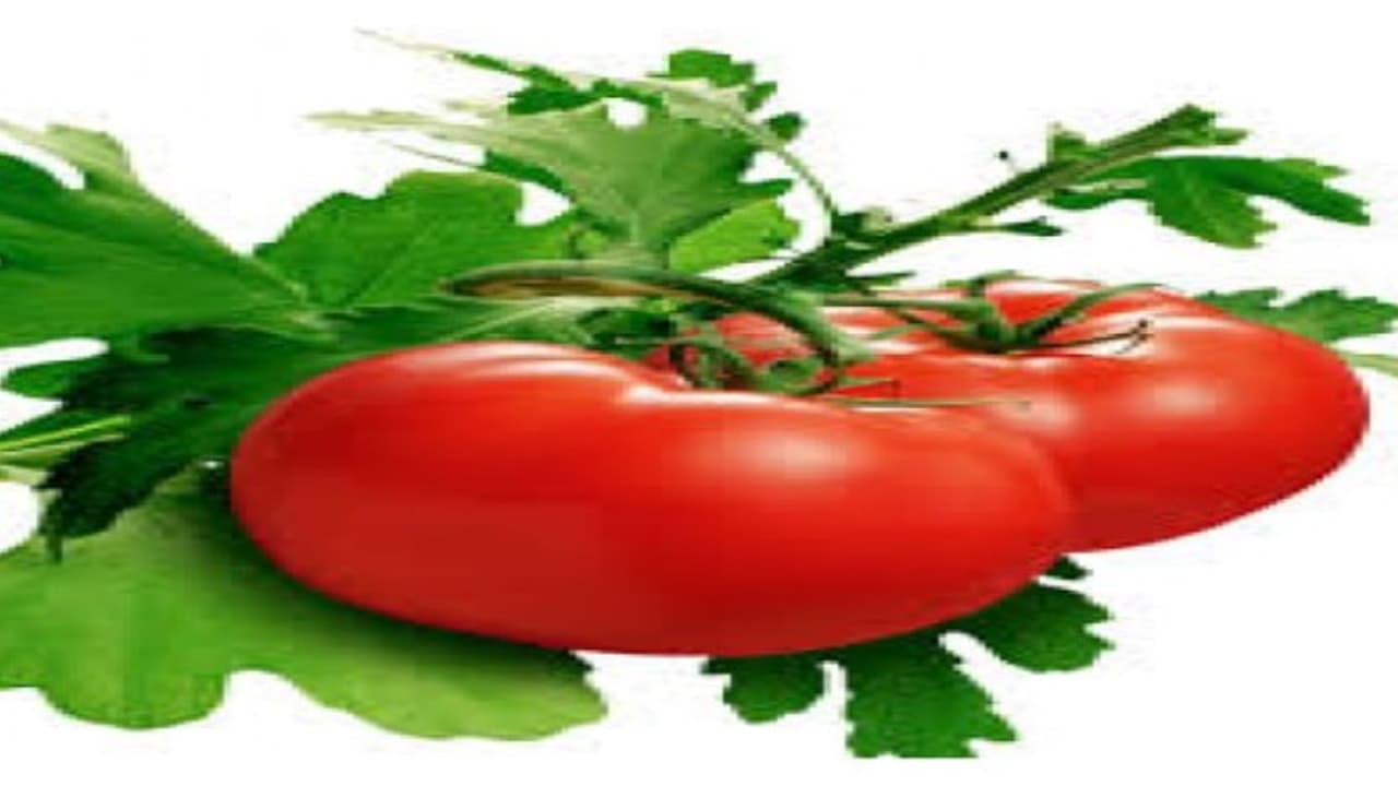 புரோஸ்டேட் புற்றுநோய்க்கு இந்த பழம் முடிவு கட்டும்… புரோஸ்டேட் புற்றுநோய்க்கு இந்த பழம் முடிவு கட்டும்…