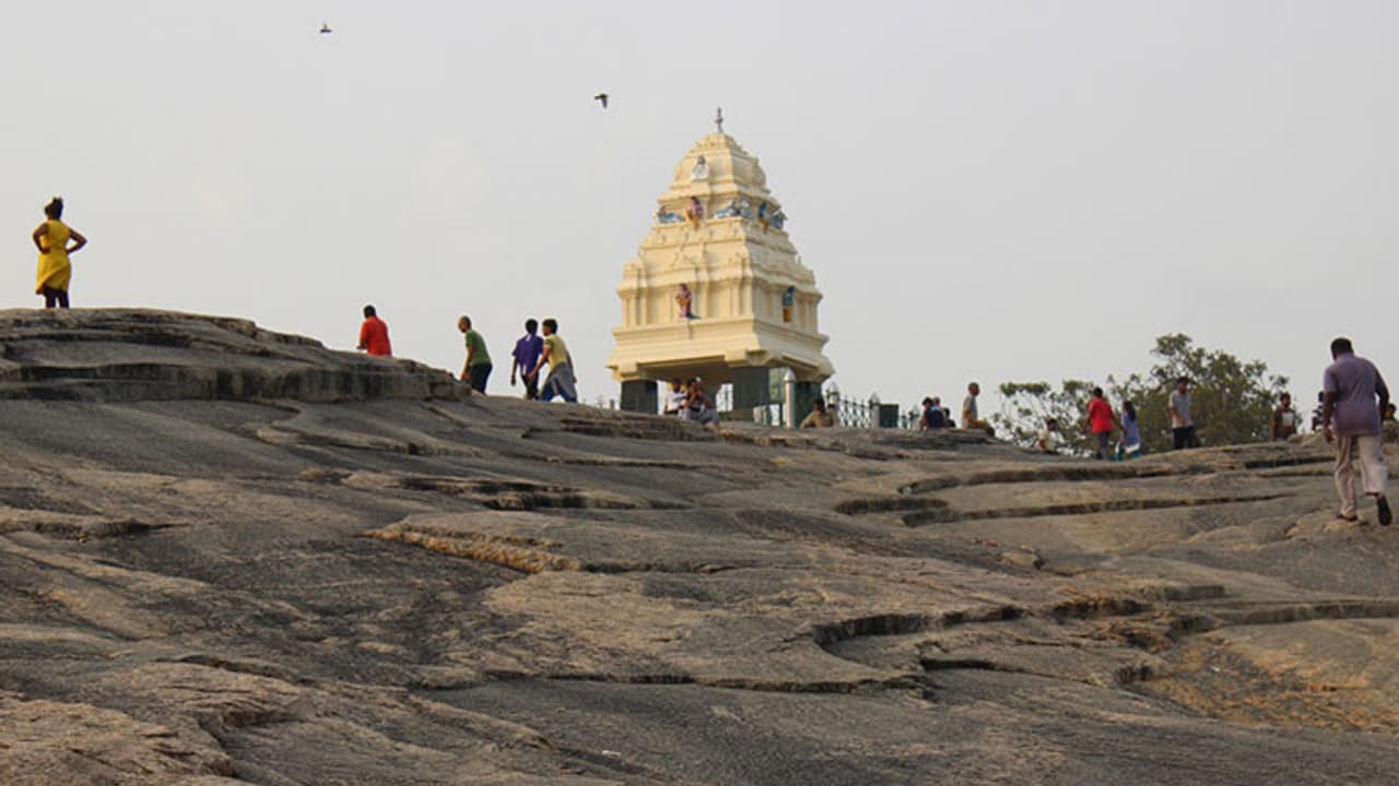 ಲಾಲ್'ಬಾಗ್'ನಲ್ಲಿ ಬಾಲಕನ ಬಲಿ ಬಳಿಕ ಎಚ್ಚೆತ್ತ ಇಲಾಖೆ; ಅಪಾಯಕಾರಿ ಸ್ಥಳಗಳಲ್ಲಿ ಸಿಸಿಟಿವಿ ಅಳವಡಿಸಲು ನಿರ್ಧಾರ ಲಾಲ್'ಬಾಗ್'ನಲ್ಲಿ ಬಾಲಕನ ಬಲಿ ಬಳಿಕ ಎಚ್ಚೆತ್ತ ಇಲಾಖೆ; ಅಪಾಯಕಾರಿ ಸ್ಥಳಗಳಲ್ಲಿ ಸಿಸಿಟಿವಿ ಅಳವಡಿಸಲು ನಿರ್ಧಾರ