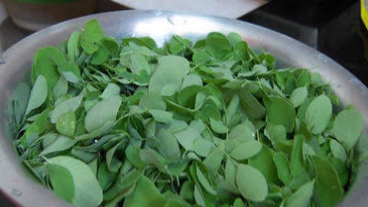 முருங்கைக் கீரையில் இவ்வளவு மருத்துவ குணங்கள் பொதிந்துள்ளன… முருங்கைக் கீரையில் இவ்வளவு மருத்துவ குணங்கள் பொதிந்துள்ளன…