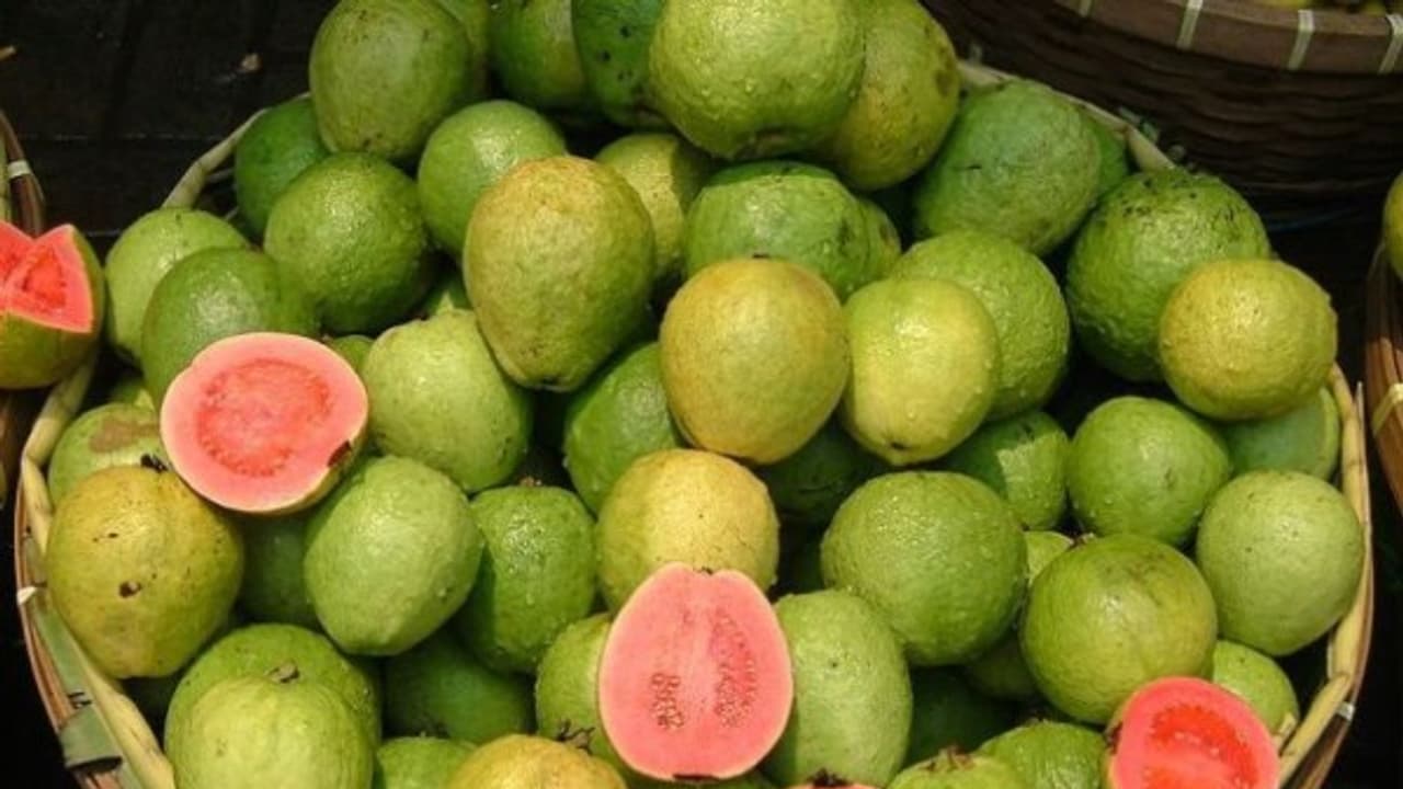 தினமும் ஒரு கொய்யாப்பழம் சாப்பிட்டால் இவ்வளவு அற்புதங்கள் உங்கள் உடலில் நடக்கும்...